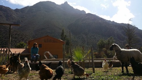 valle-elqui-hostal-luz