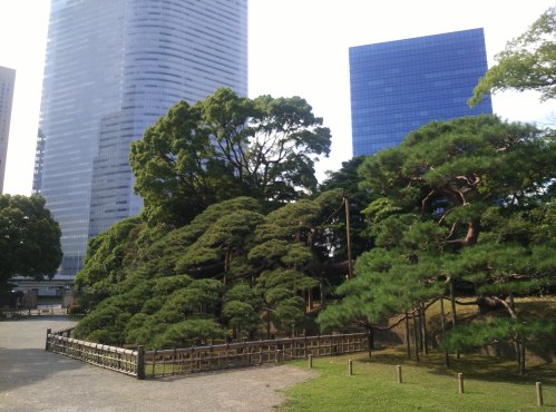 Hama-rikyu Onshi-teien