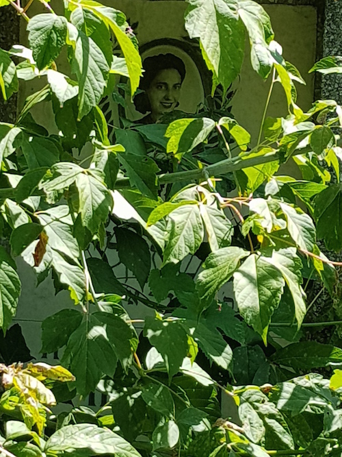 tumba-jewish-cemetery-chisinau